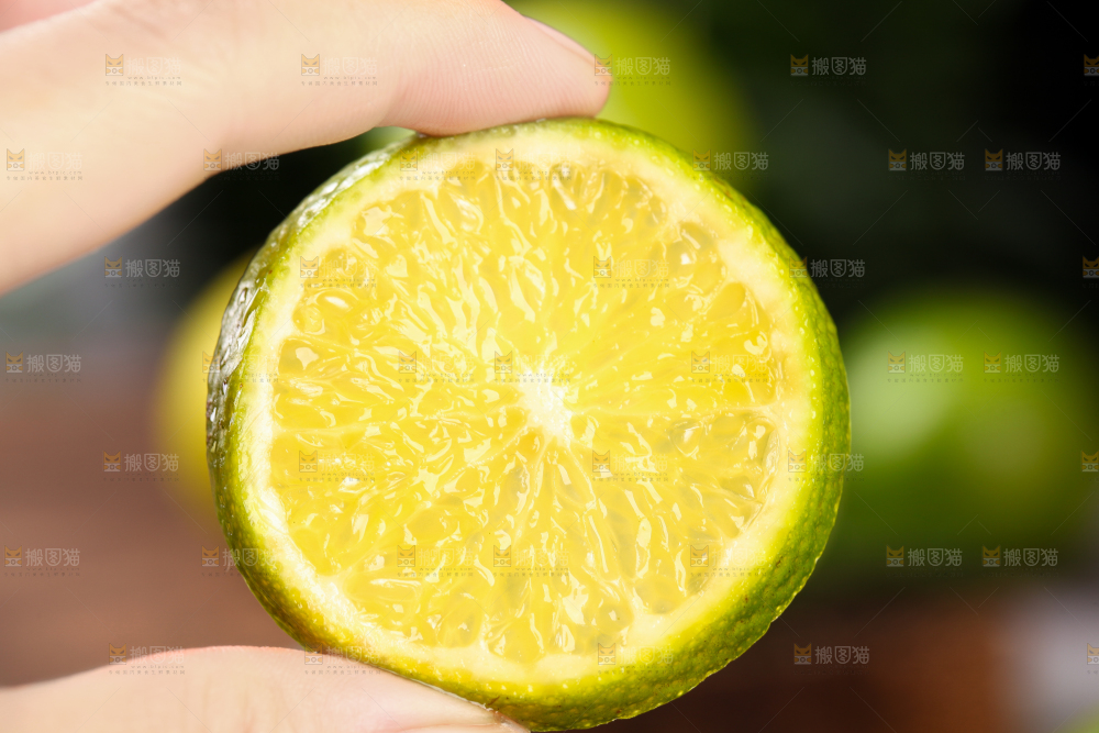 手上拿着贡柑