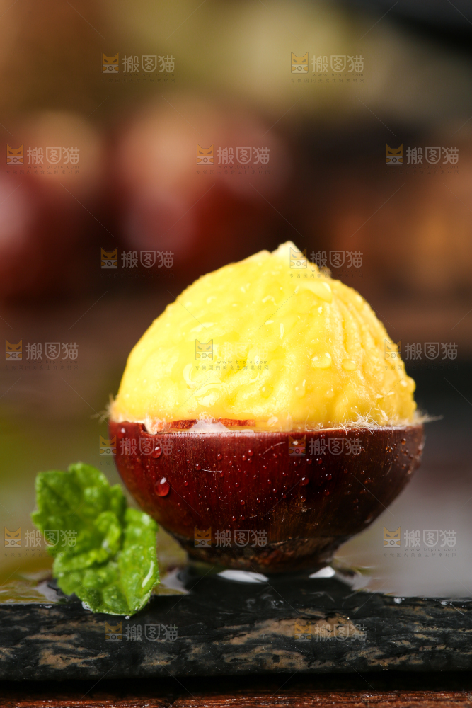 黑底上生的锥栗
