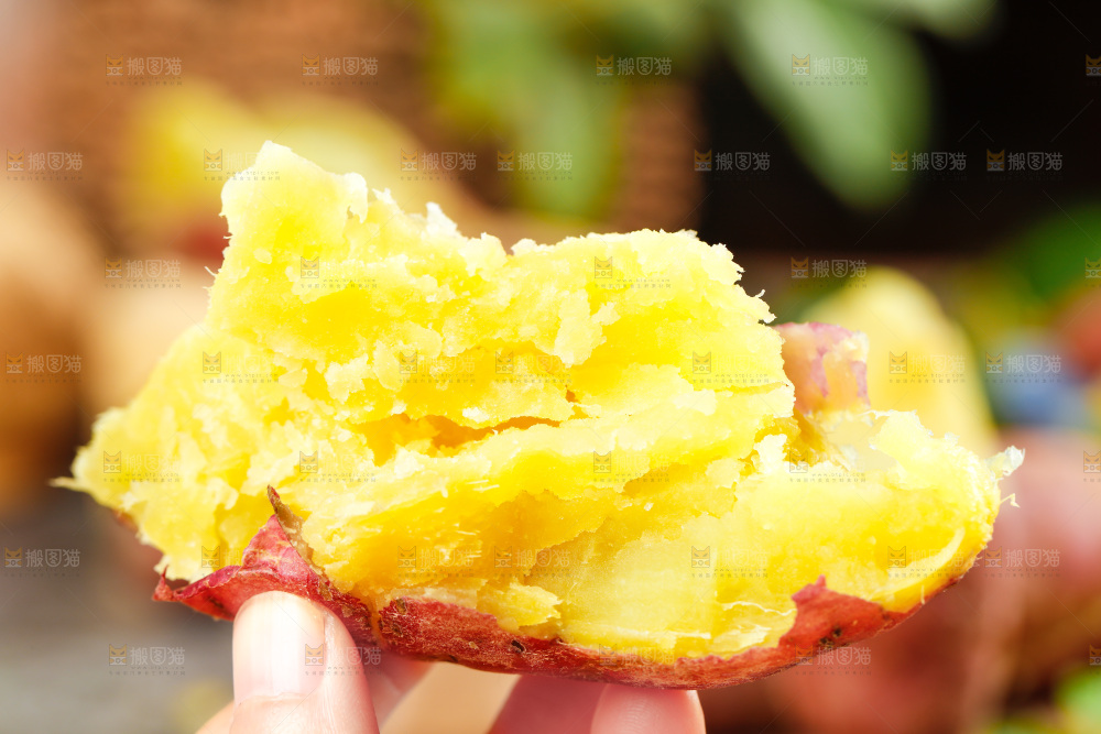 手上拿着黄心蜜薯