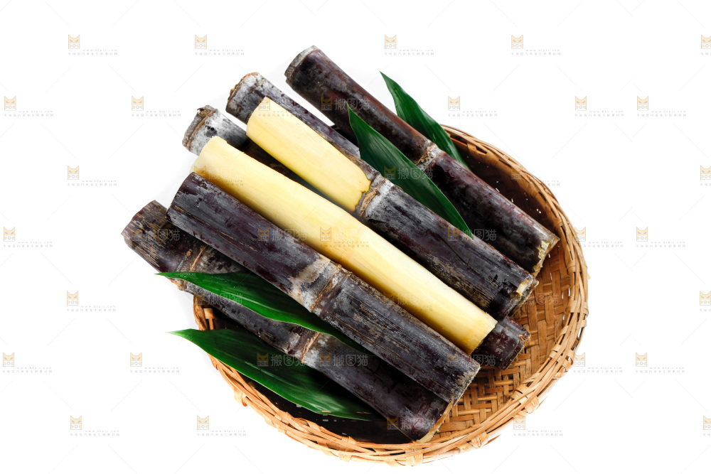 白底上篮子里的甘蔗