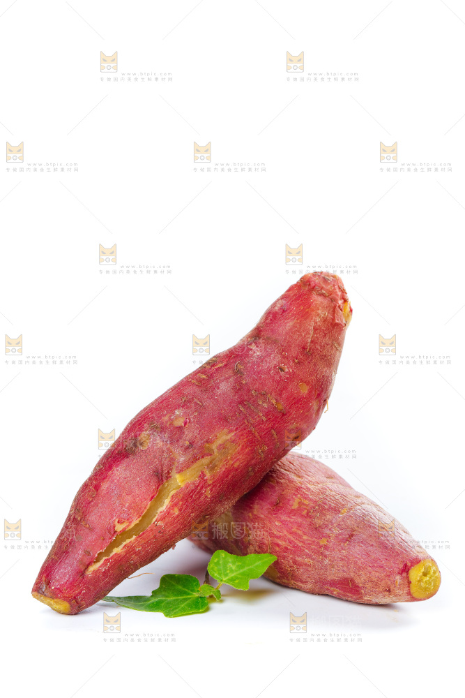 白底红薯