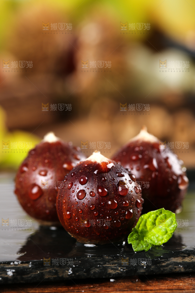 黑底上放着鲜锥栗