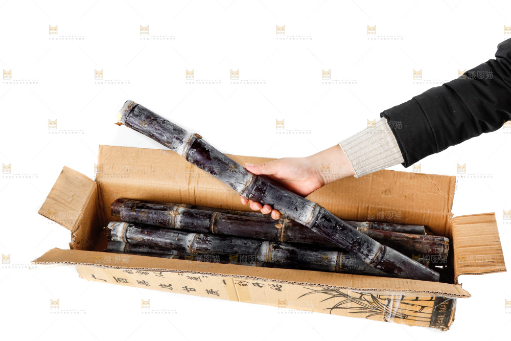 白底上一箱黑皮甘蔗和手上拿着甘蔗