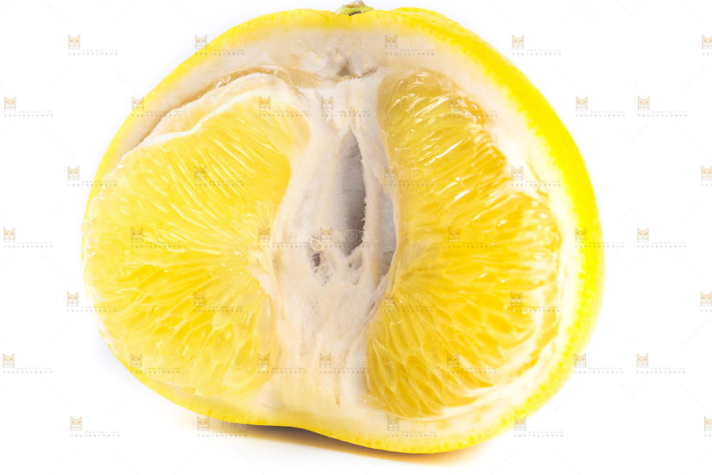 白底上的葡萄柚