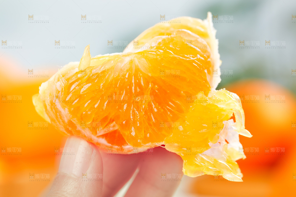 手上拿着爱媛果肉