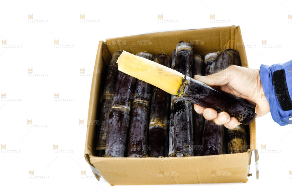 手上拿着甘蔗