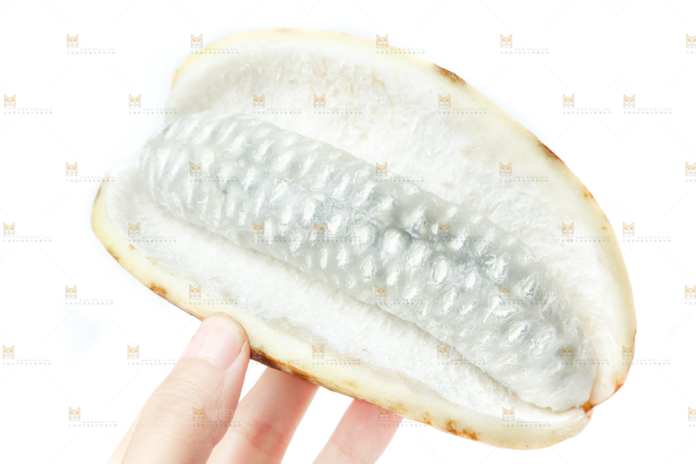 手里拿着八月瓜