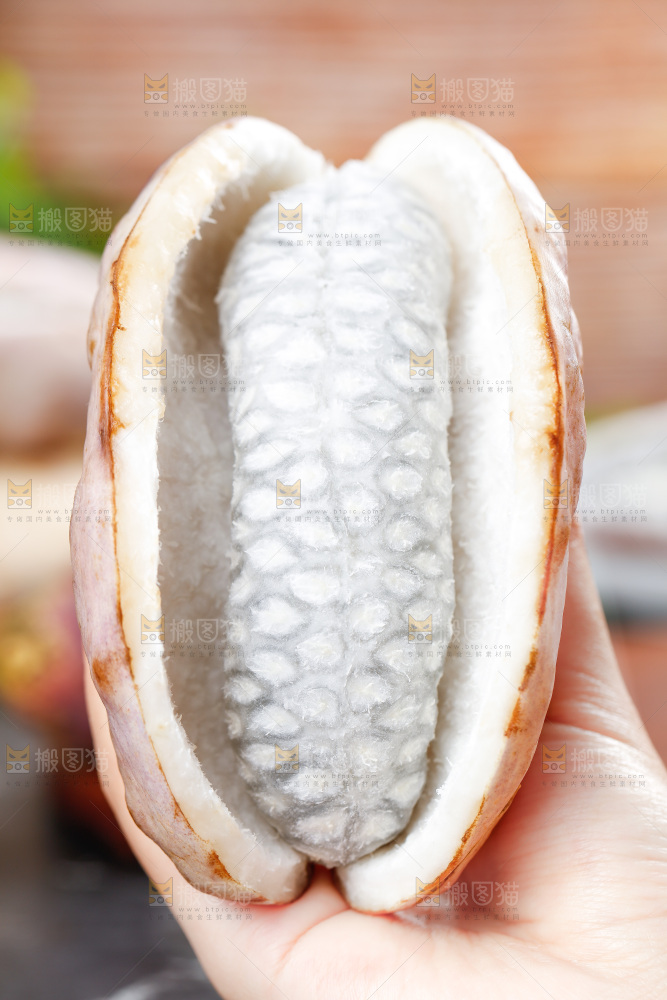 手里拿着八月瓜