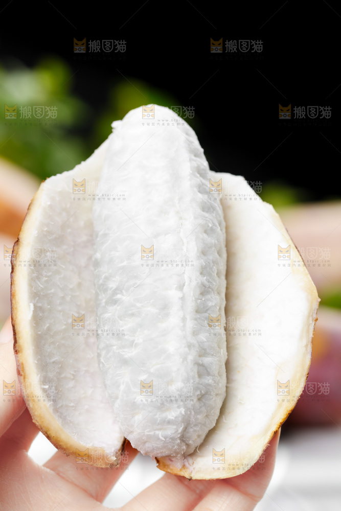 手里拿着八月瓜