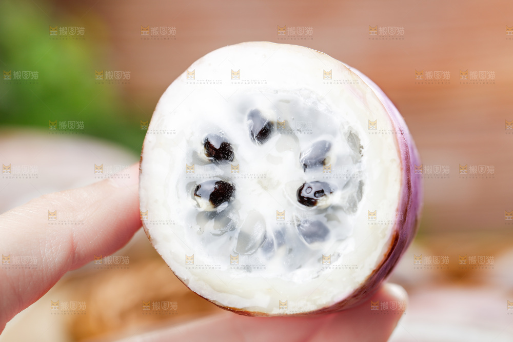 手里拿着八月瓜