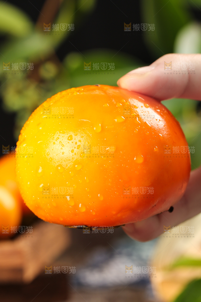 手里拿着脆甜柿子