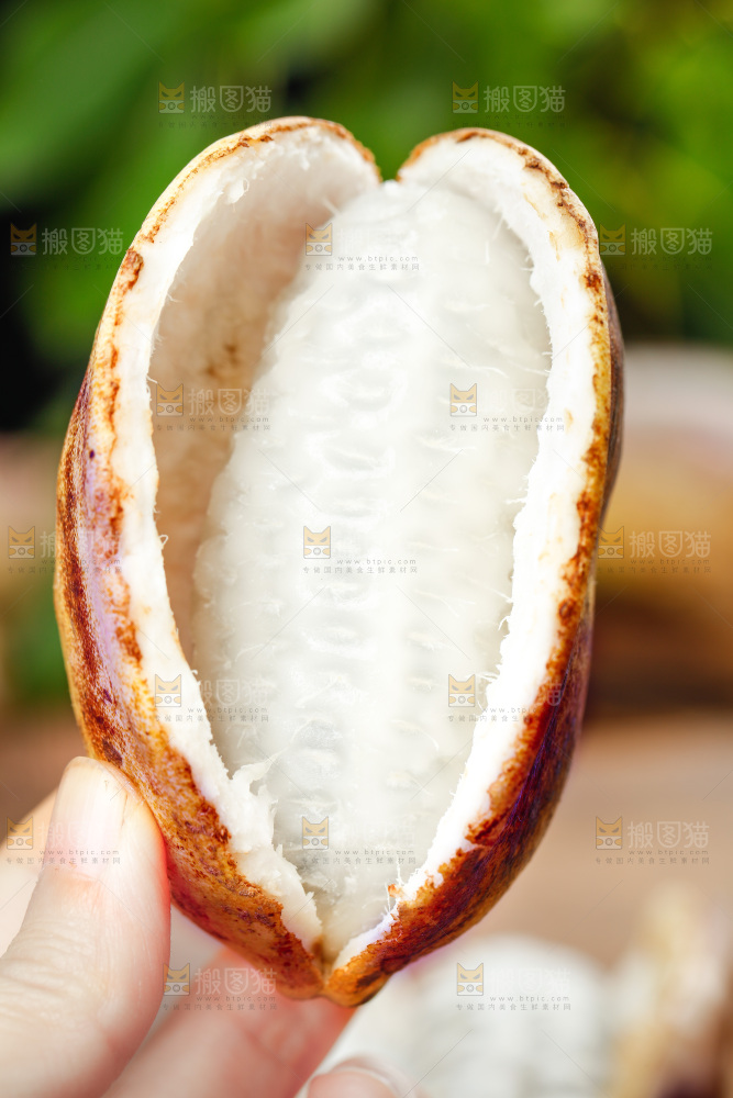 手里拿着八月瓜