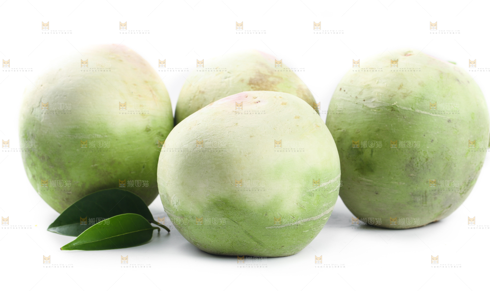 白底上摆放着心里美萝卜