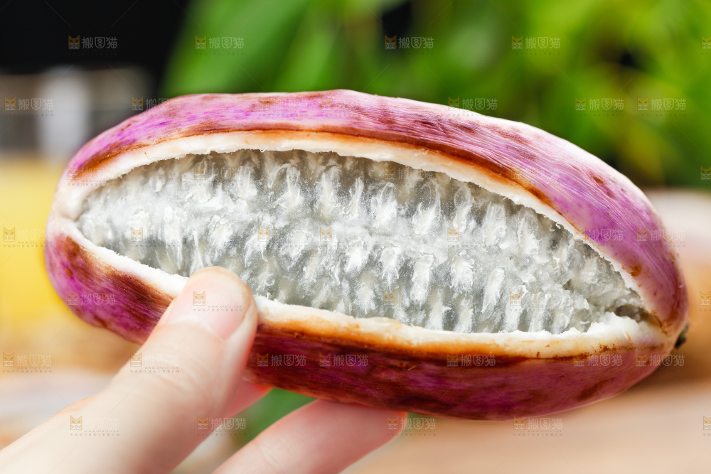 手里拿着八月瓜