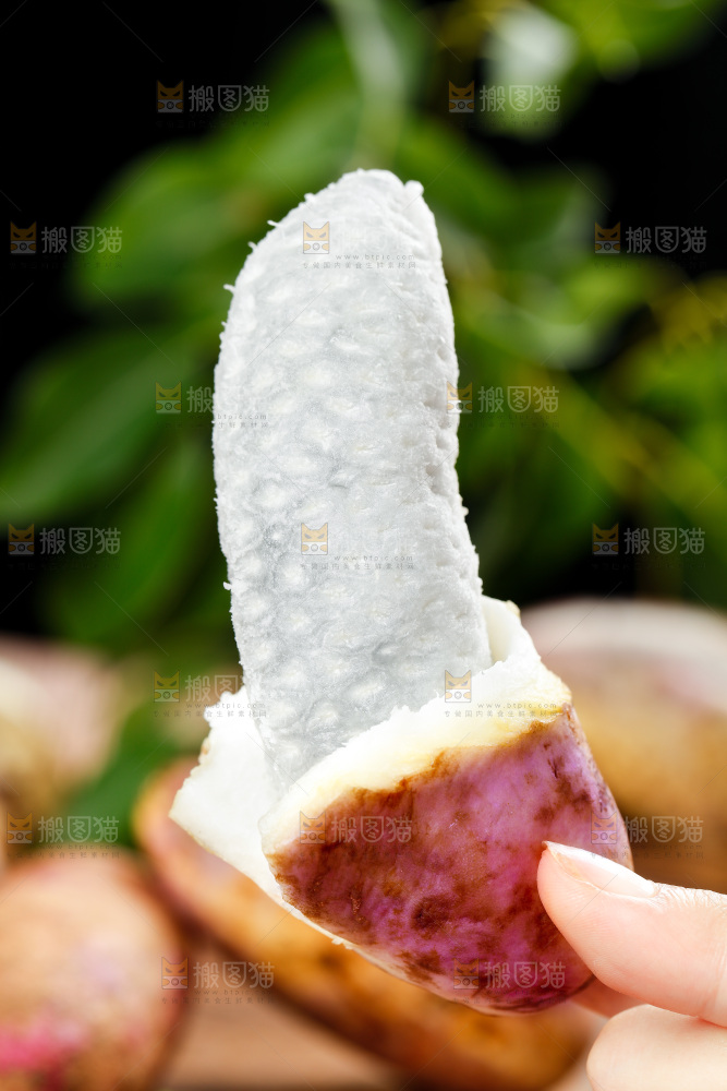 手里拿着八月瓜