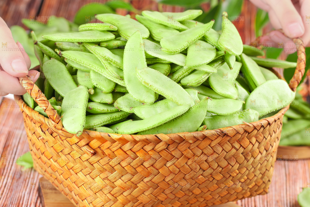 篮子里装着扁豆