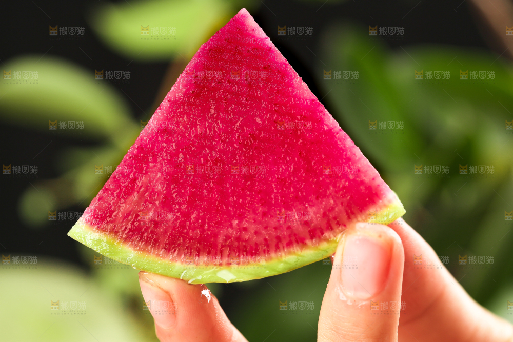 手里拿着心里美萝卜