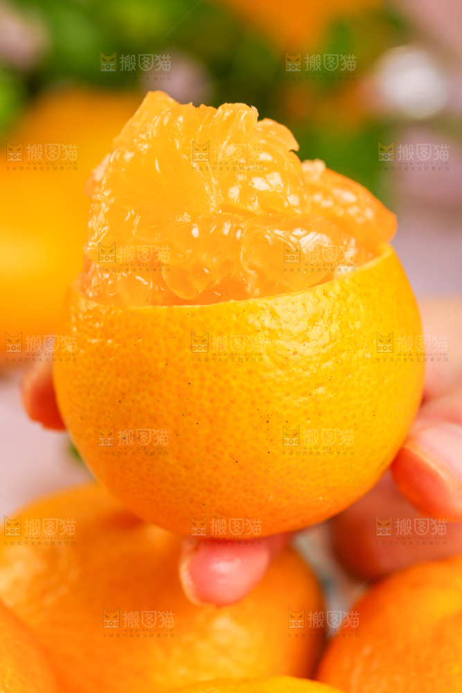 手里拿着芦柑