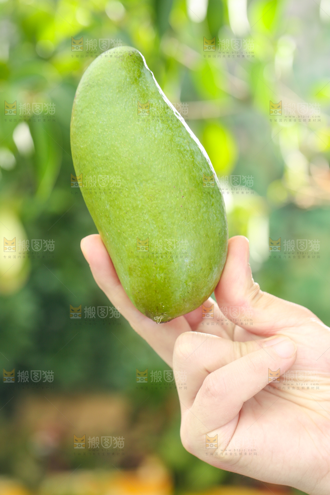手拿田东桂七芒