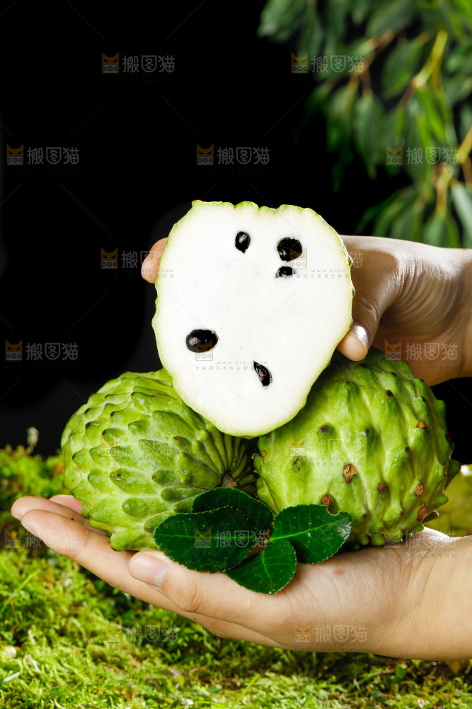 手里拿着牛奶释迦果