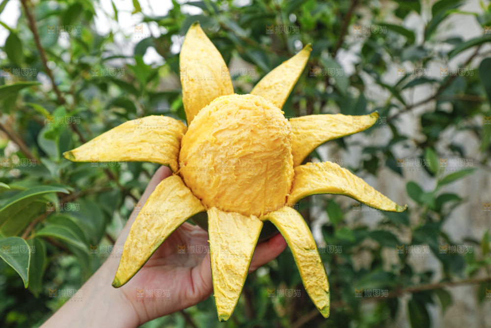 凯特芒