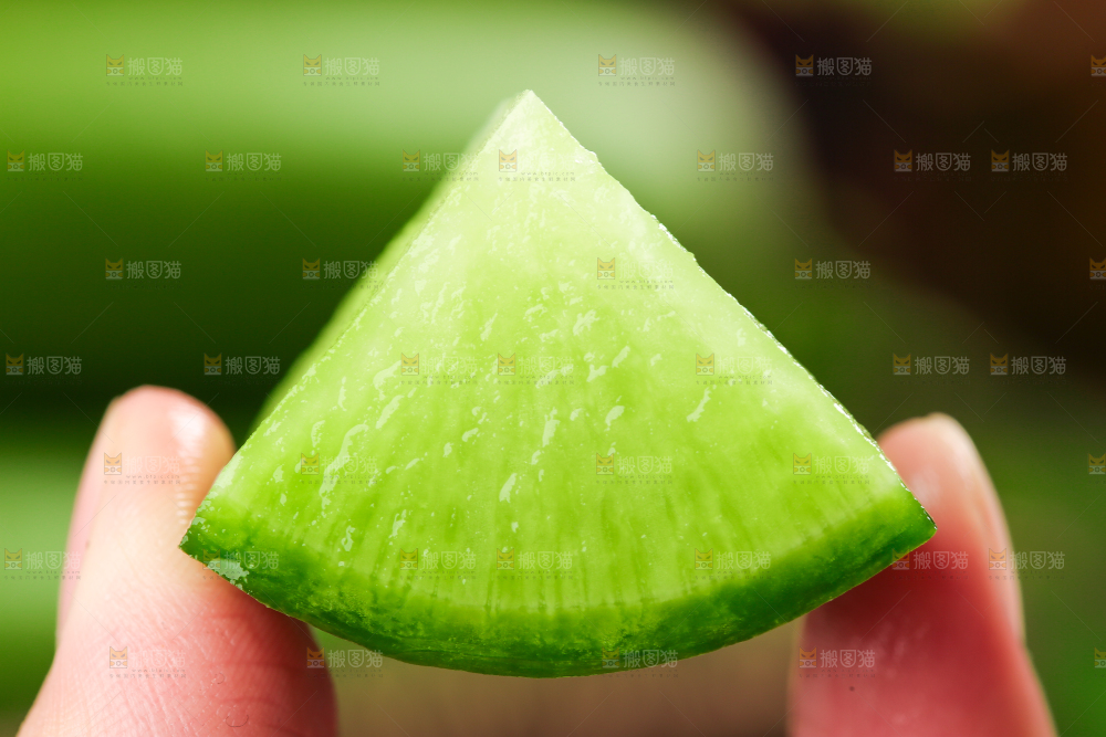 手里拿着青萝卜