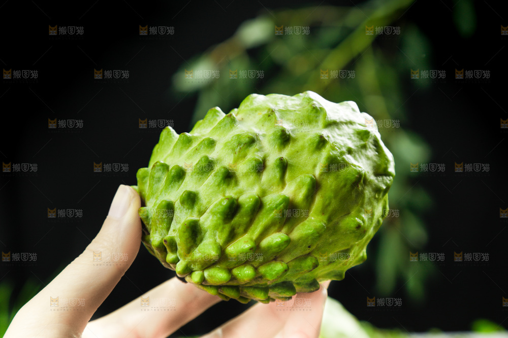 释迦果
