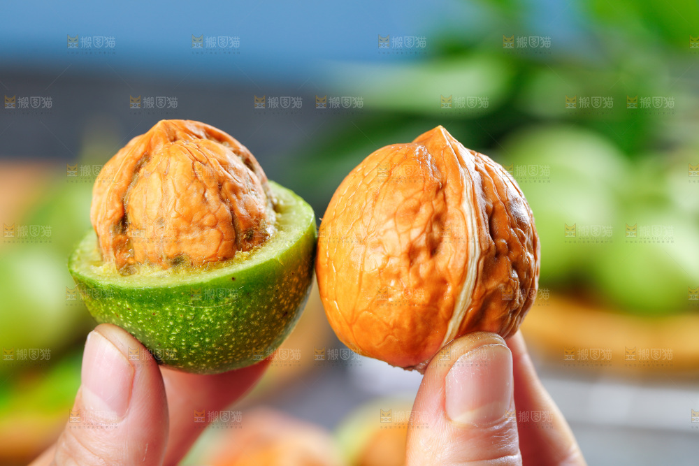 手拿去皮湿核桃