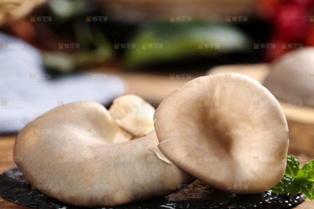 黑底上摆放着平菇