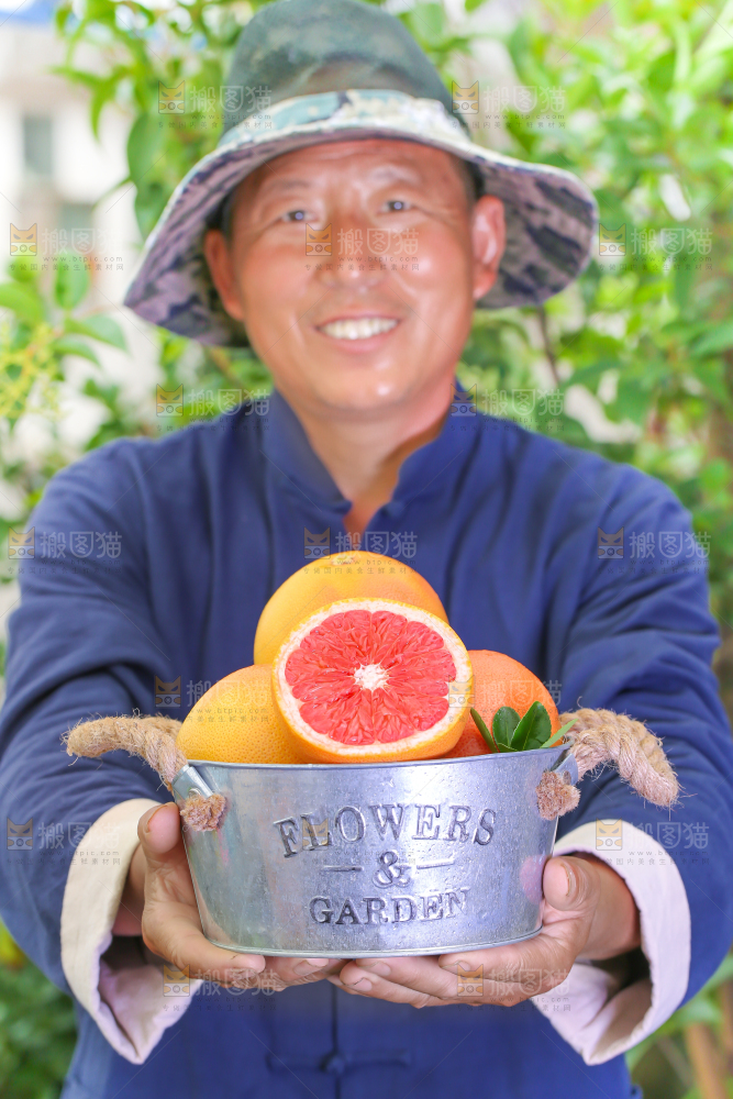 农民手里拿着切开的南非红心西柚