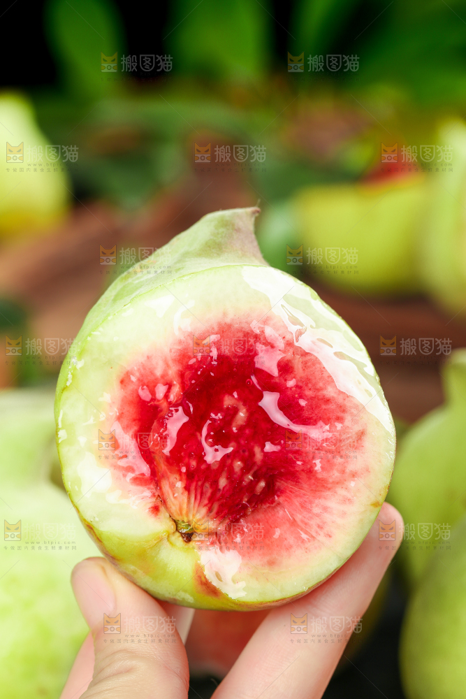 手拿云南鹰嘴水蜜桃