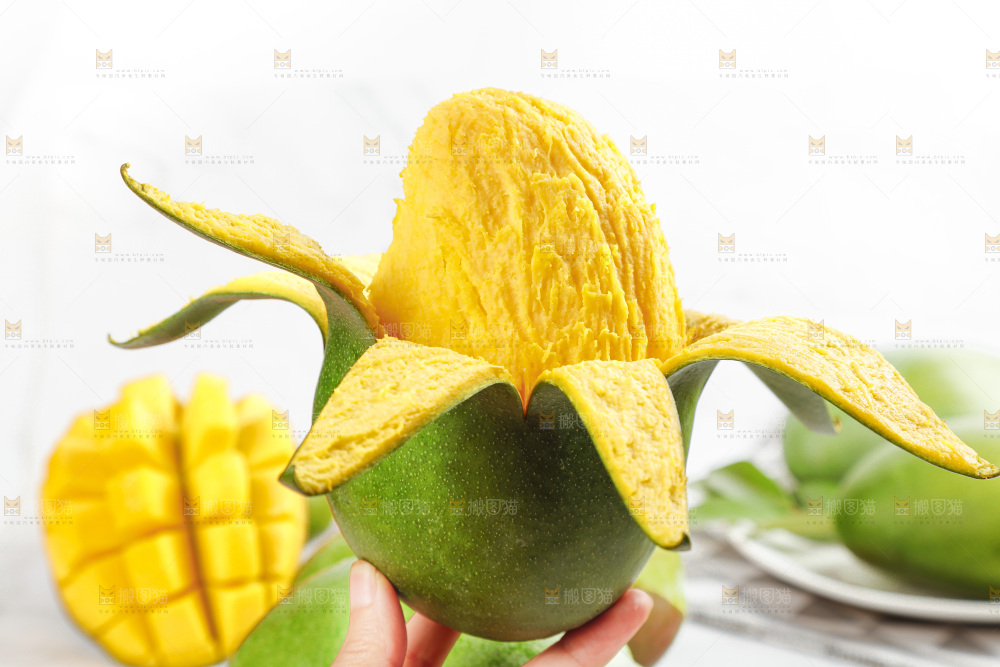 凯特芒