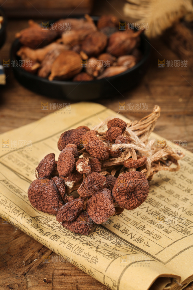 书本上放着茶树菇