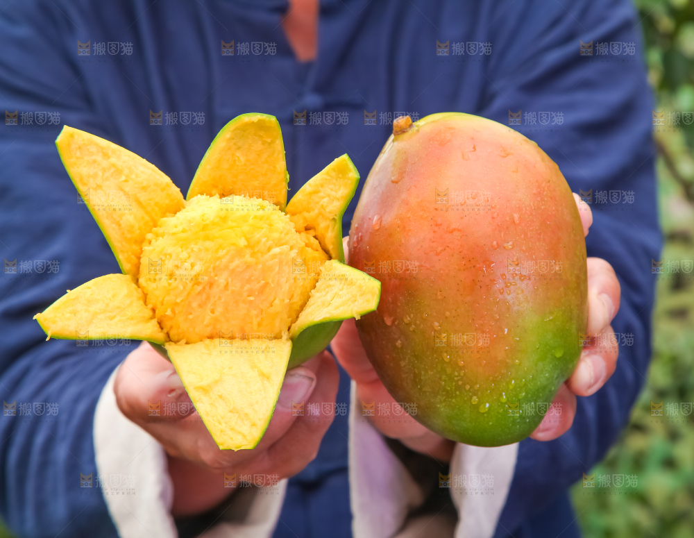 手拿剥皮的四川凯特芒