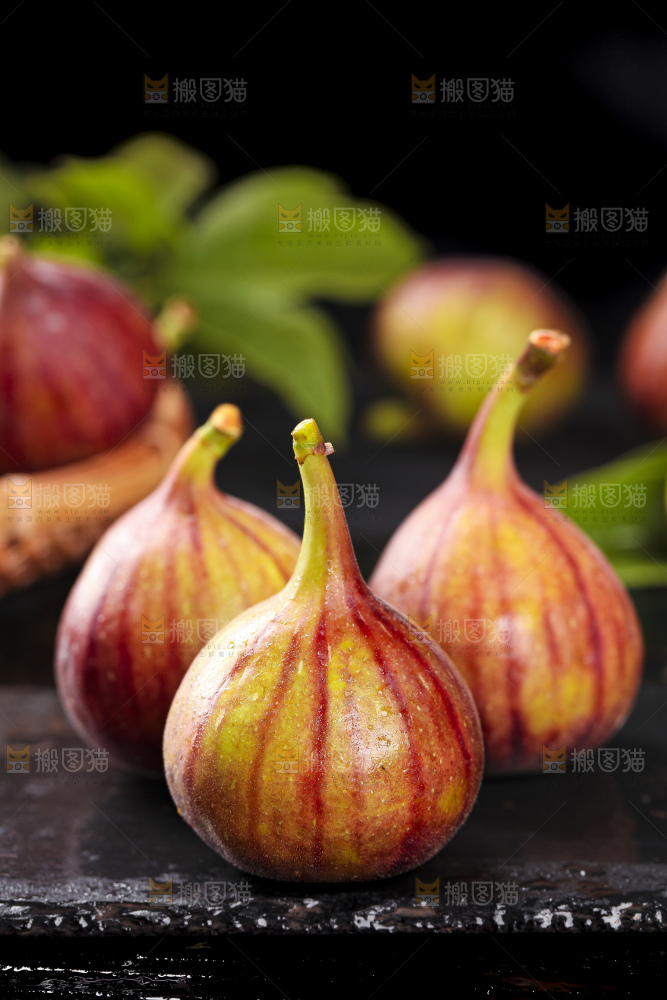 黑底上的紫皮无花果