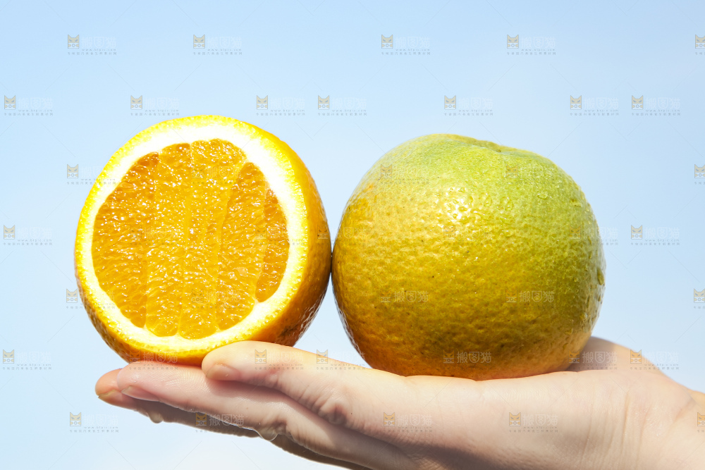 手拿切开的夏橙