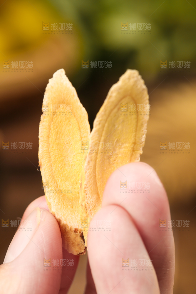 手里拿着黄芪