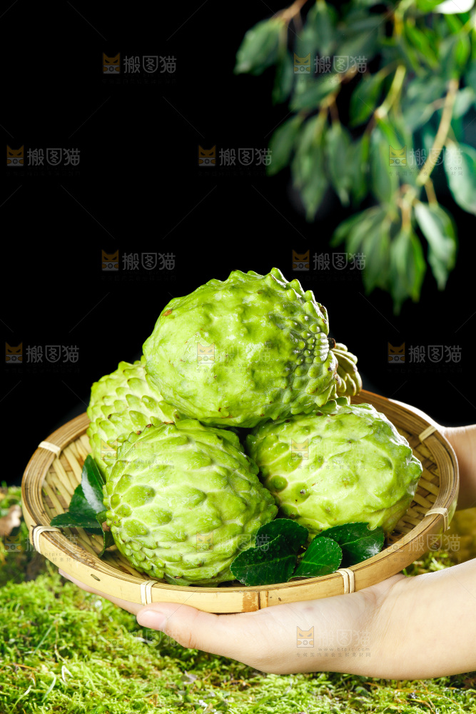 手里端着释迦果