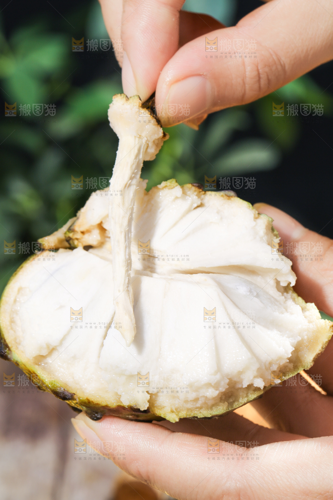 手里拿着释迦果