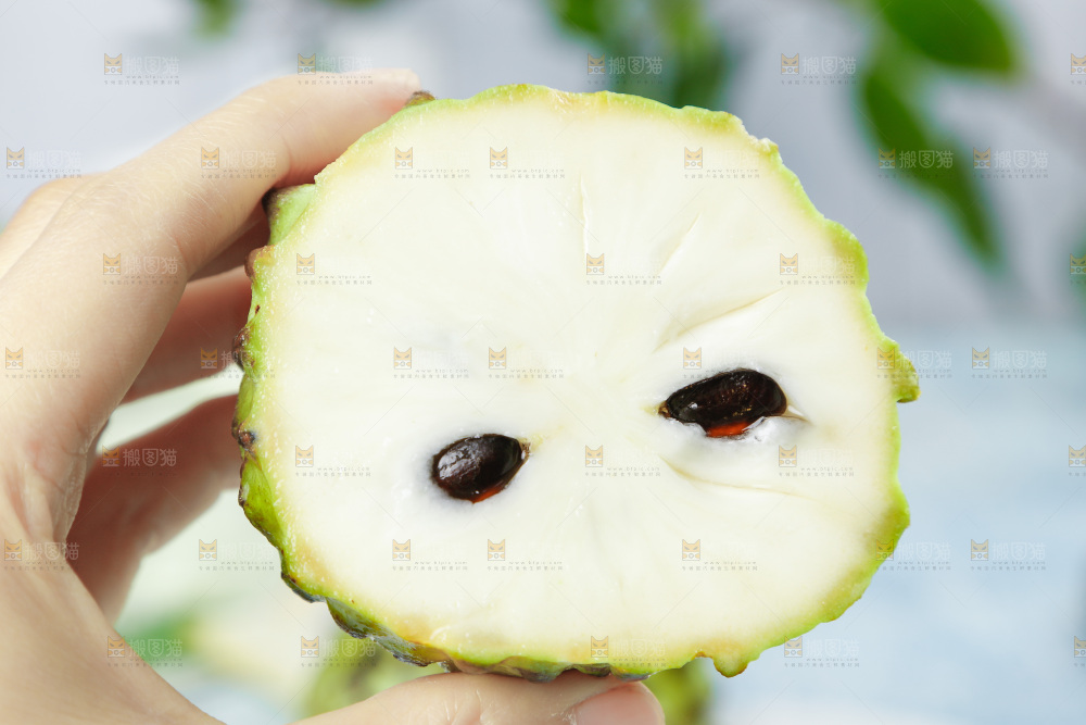 手里拿着释迦果
