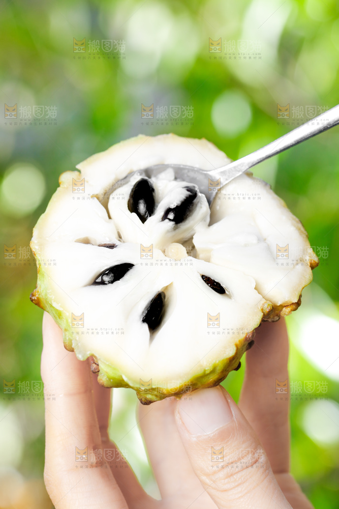 手里拿着释迦果