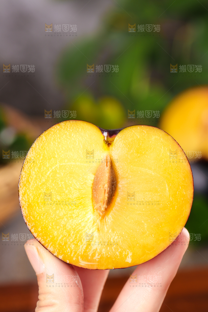 木底上手拿切开的黑布林