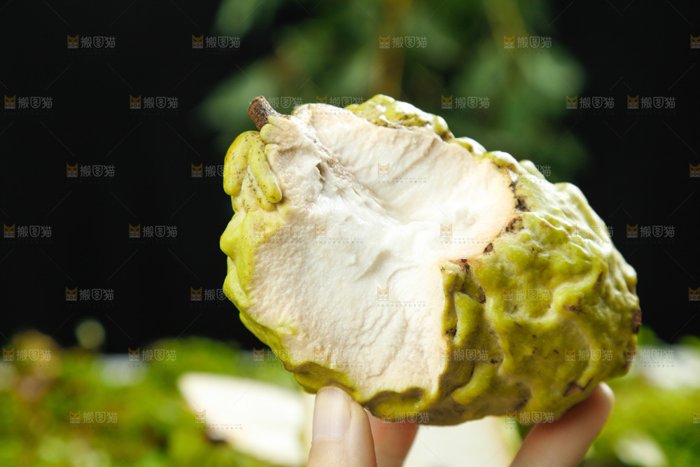 手里拿着释迦果
