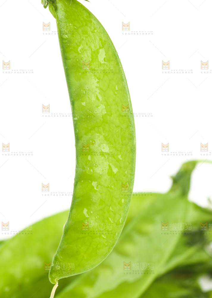 白底上摆放着豌豆荚