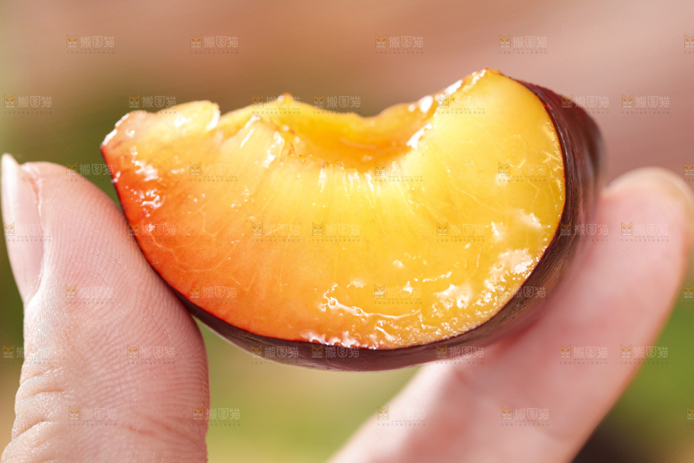 手拿掰开的黑布林