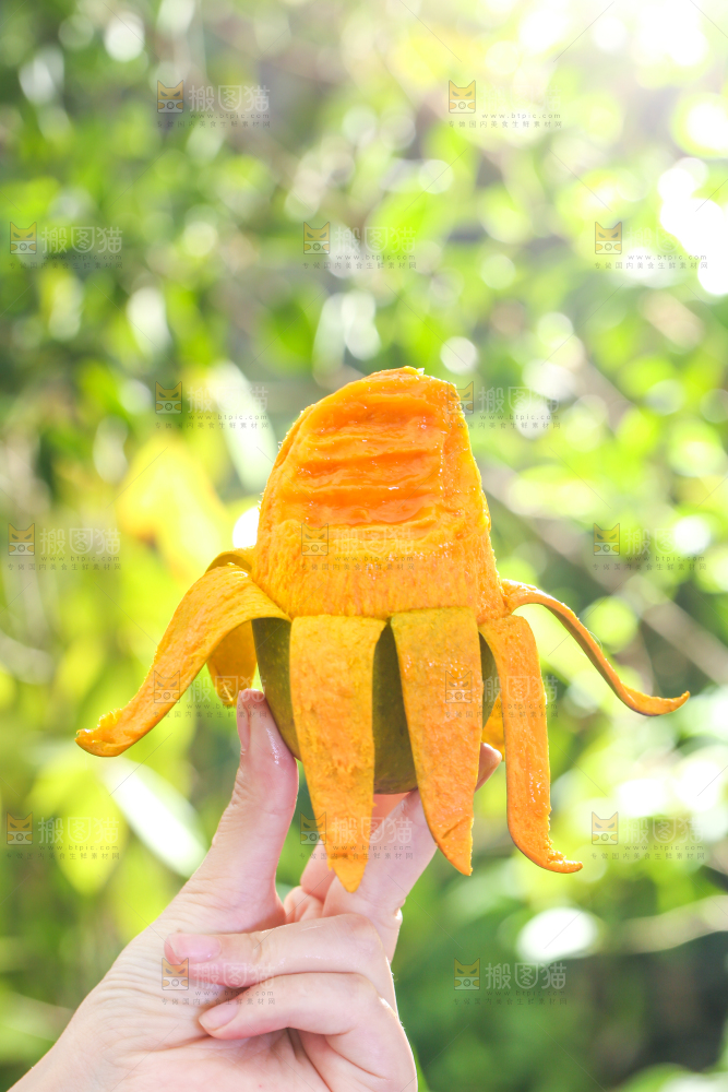手拿剥皮的椰香芒