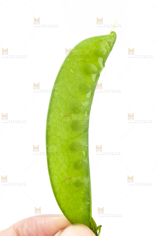 白底上摆放着豌豆荚