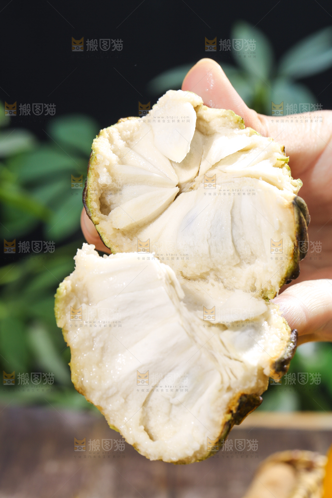 手里拿着释迦果
