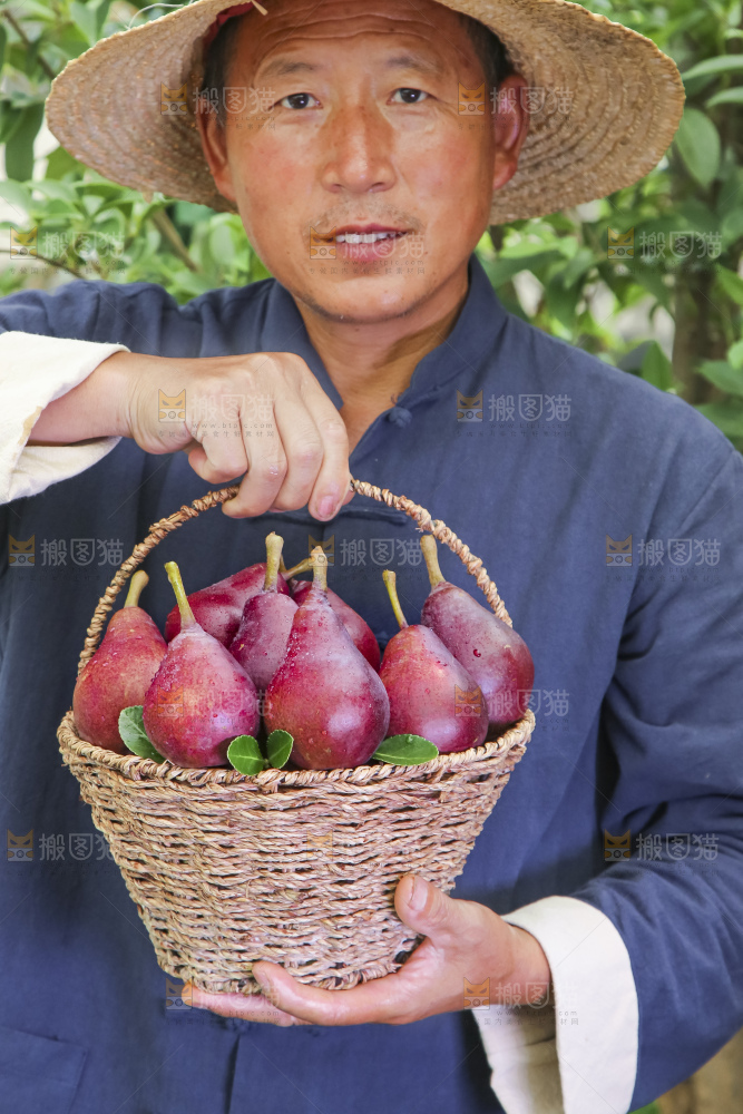 农民拿着一筐红啤梨