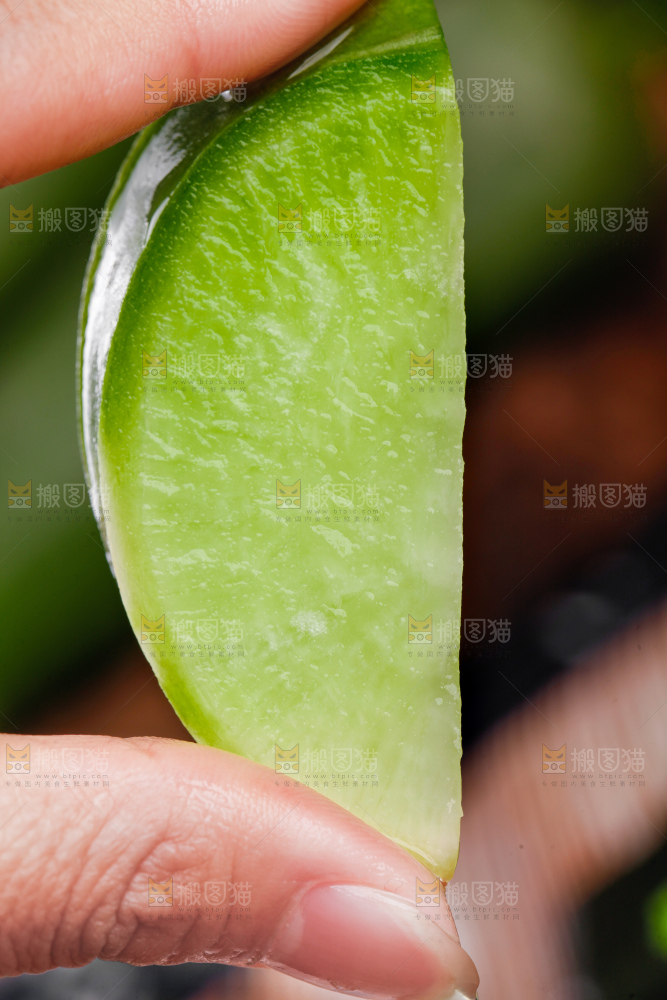 手里拿着萝卜